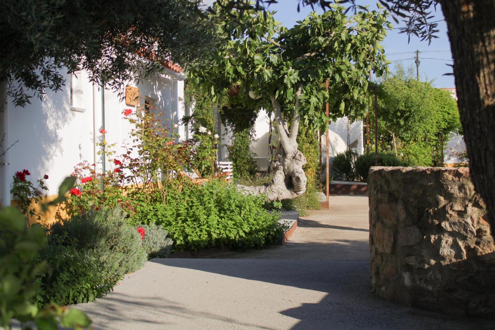 Sao Bras Do Regedouro - Turismo Na Aldeia Villa Evora Luaran gambar